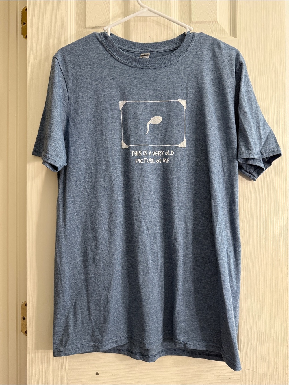 Gildan Heather Blue Graphic Crewneck T‑Shirt
